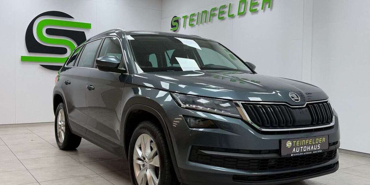 Skoda Kodiaq 276.040 km 14.500 &euro; Steinfeld 49439