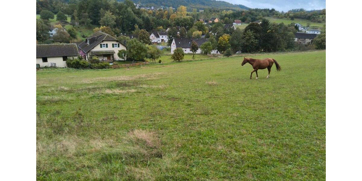 Einfamilienhaus Birkenfeld - 860.000&euro; | Angebot:26266442