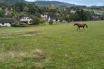 Einfamilienhaus Birkenfeld - 860.000&euro; | Angebot:26266442