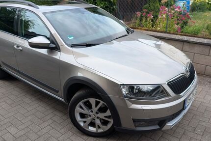 Skoda Octavia 67.300 km 16.700 &euro; Münchweiler an der Rodalb 66981