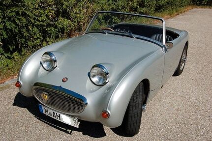 Austin Healey Andere