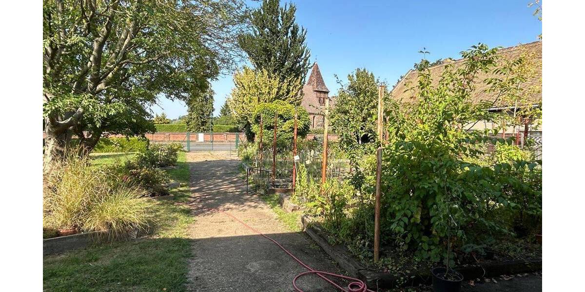 Gewerbeobjekt Kemberg Schleesen - 165.000&euro; | Angebot:26432991