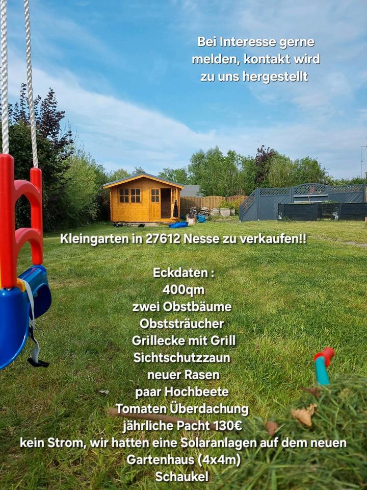 KleingartenSchrebergarten