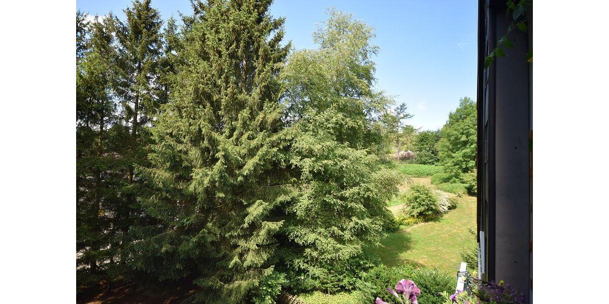 Mehrfamilienhaus, Wohnhaus Goslar OS Hahnenklee-Bockswiese - 2 Zimmer, 77 m&sup2;, 78.000&euro; | Angebot:26416220