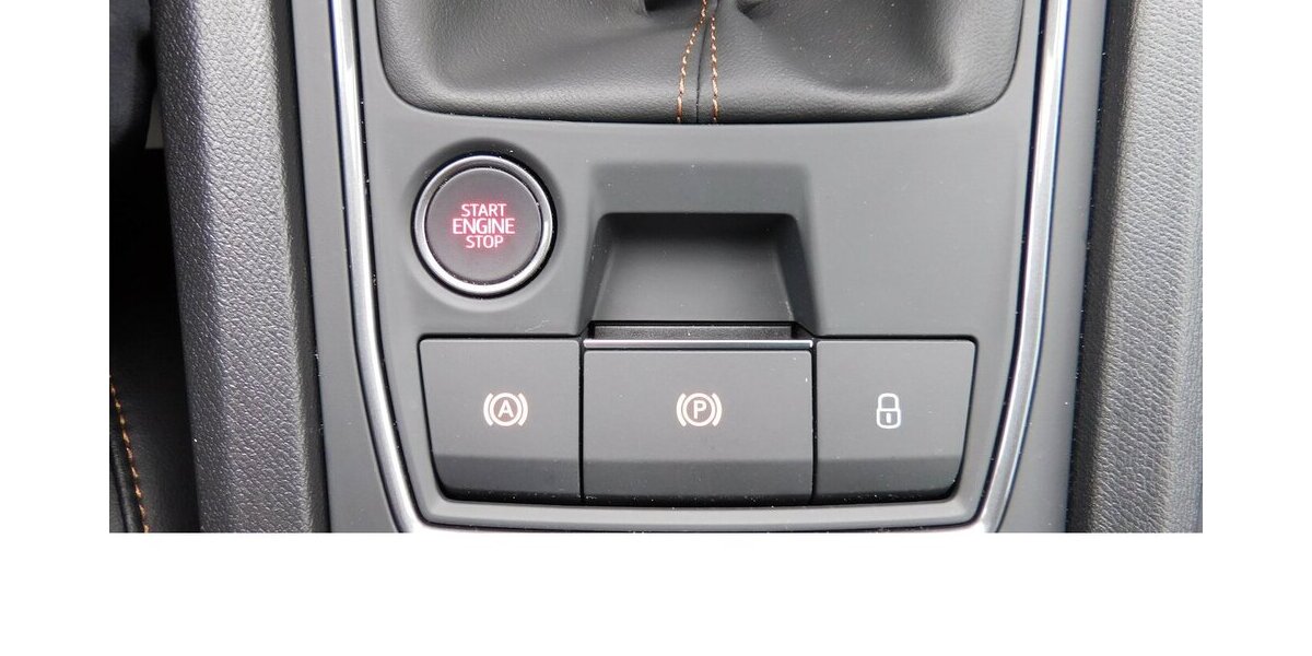 Cupra Formentor 1.5 TSI BMT Klima LED Alu 22.200 km 20.490 &euro; Vordorf 38533