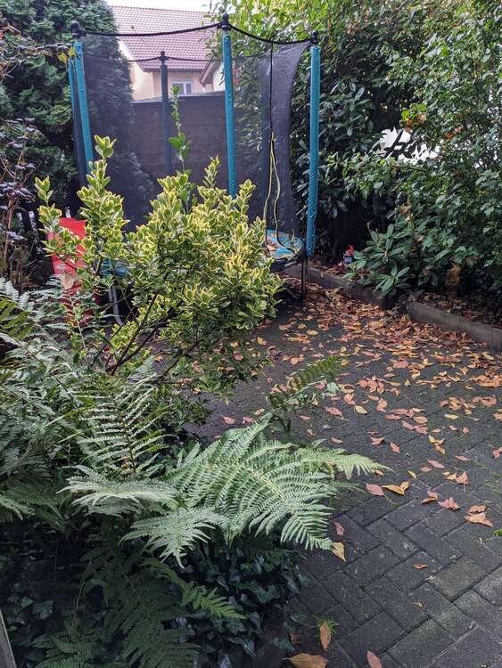 Haus zum Kaufen in Aschaffenburg 285.000 € 102 m² 4 zimmer