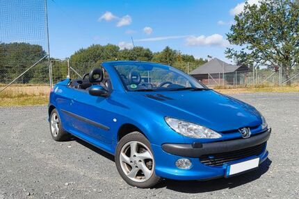 Peugeot 206 108.978 km 2.000 &euro; Nauroth 57583