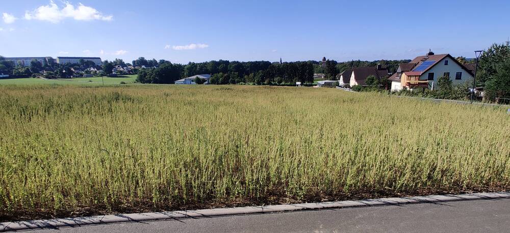 Einfamilienhaus Brand-Erbisdorf Erbisdorf - 4 Zimmer, 90 m&sup2;, 354.561&euro; | Angebot:25707447