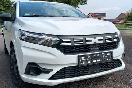 Dacia Sandero 46.500 km 11.690 &euro; Grünstadt 67269