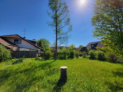 IHR RUHIGES PLÄTZCHEN IN DER SONNE - Grundstück Weßling | Angebot:27265669