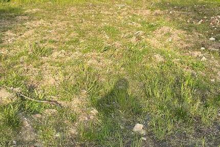 Teilgrundstück eine Doppelhaushälfte - Errichten Sie Ihr neues Zuhause zimmer