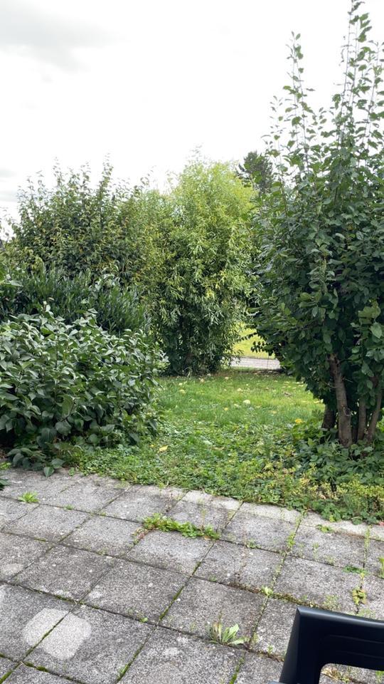 Mietwohnung in Haina Wiesenweg zimmer