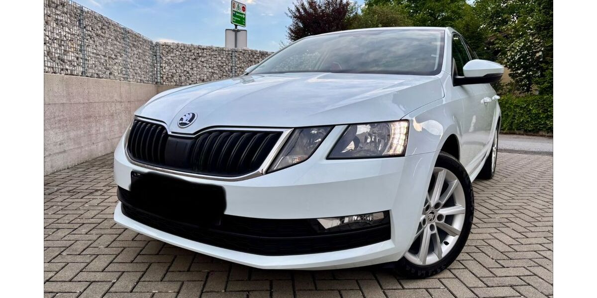 Skoda Octavia 119.300 km 8.490 &euro; Burghausen 84489