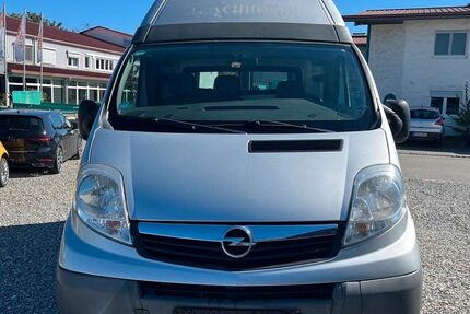 Opel Vivaro 185.925 km 3.799 &euro; Oberteuringen 88094