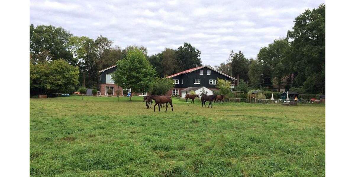 Wohnen im Liether Moor 4 zimmer