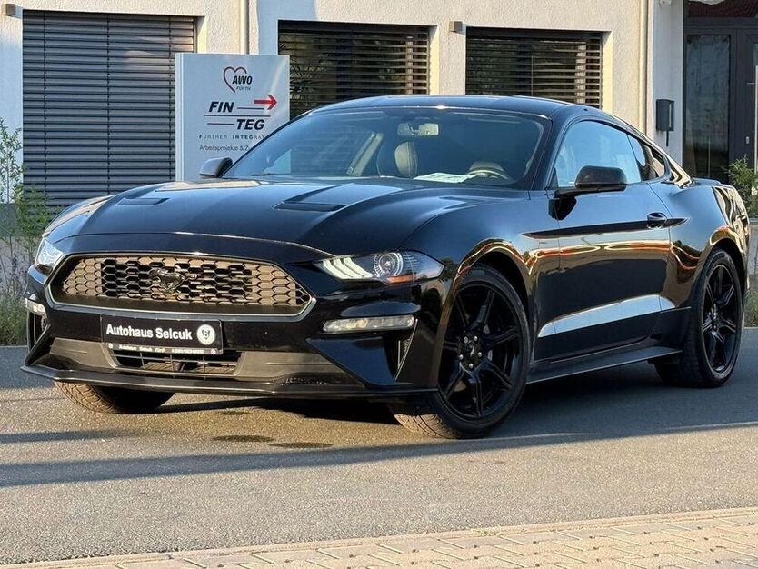 Mustang