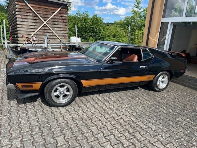 Mustang
