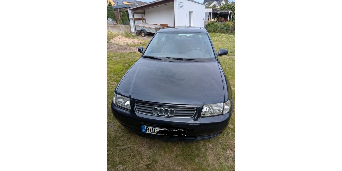 Audi A3 235.000 km 750 &euro; Bergen auf Rügen 18528