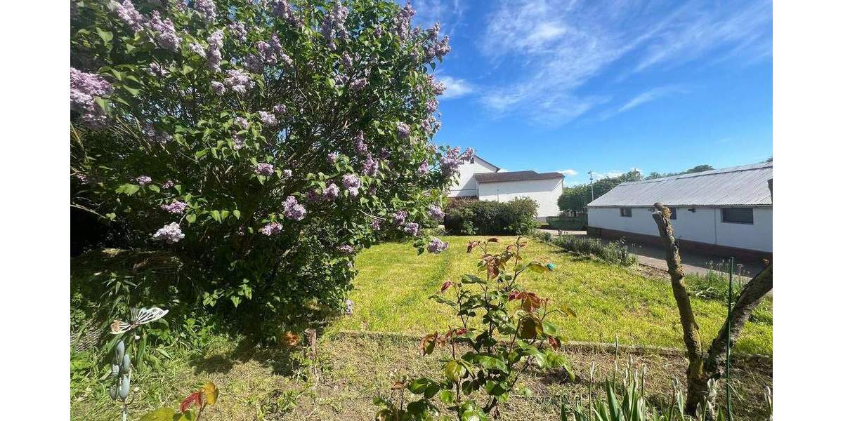 Einfamilienhaus Wiesbaden Biebrich - 1 Zimmer, 290 m&sup2;, 4.500&euro; | Angebot:25912529