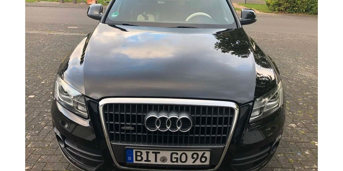 Audi Q5 238.400 km 11.000 &euro; Speicher 54662