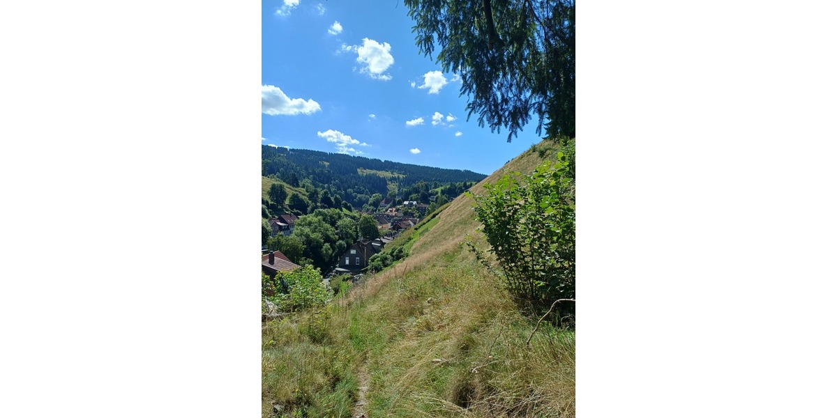 Bergwiese im Landschaftsschutzgebiet in Wildemann, Landkreis Goslar zimmer