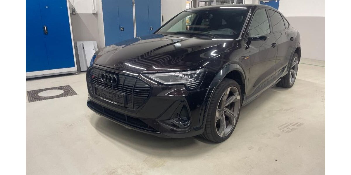 Audi e-tron 31.200 km 48.250 &euro; Salzgitter 38259