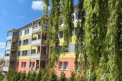 Wohnung zum Mieten in Mühlhausen Thüringen 360 € 58 m² 3 zimmer