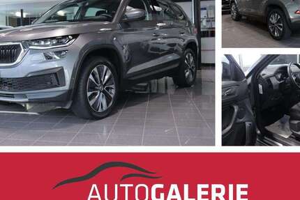 Skoda Kodiaq 100.000 km 29.900 &euro; Braunschweig 38116