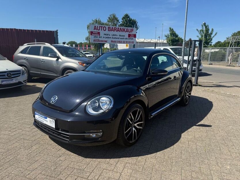 Beetle