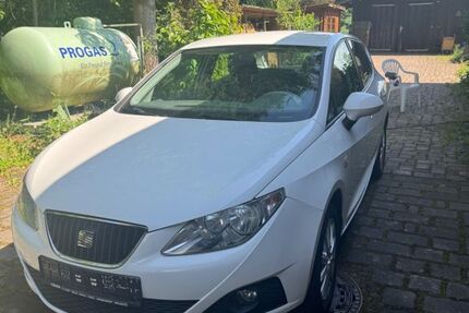 Seat Ibiza 121.000 km 3.370 &euro; Hof 95030