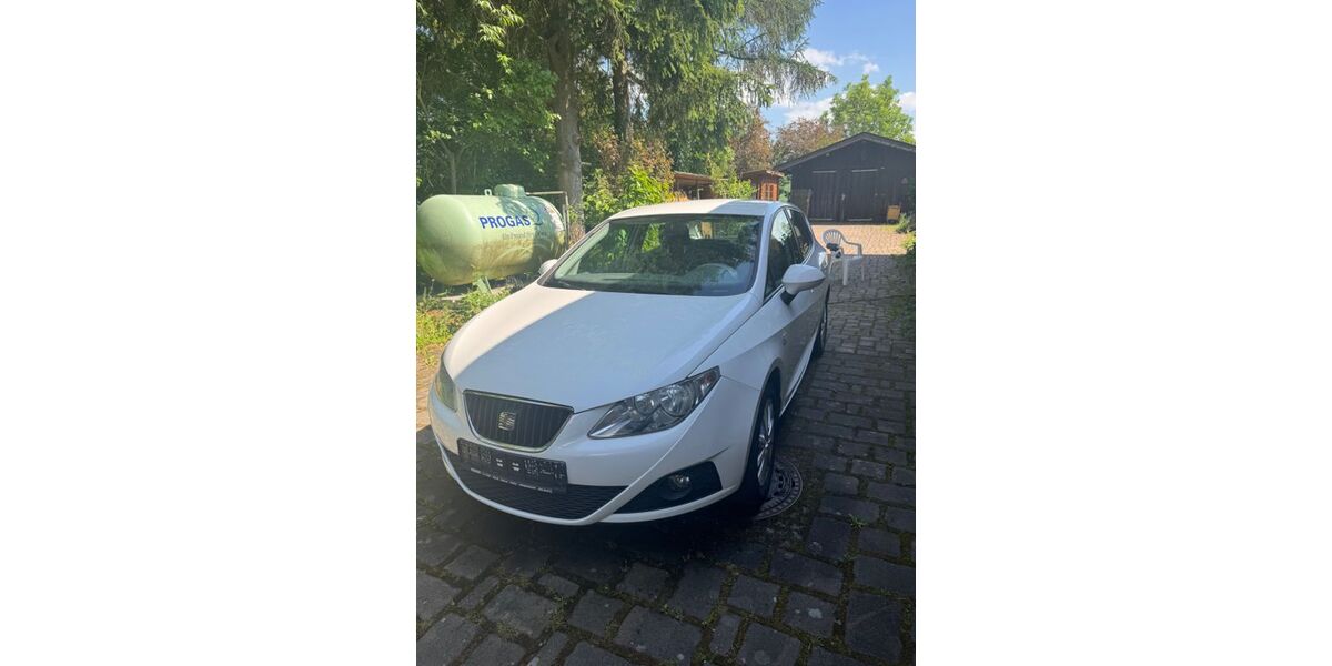 Seat Ibiza 121.000 km 3.590 &euro; Hof 95030