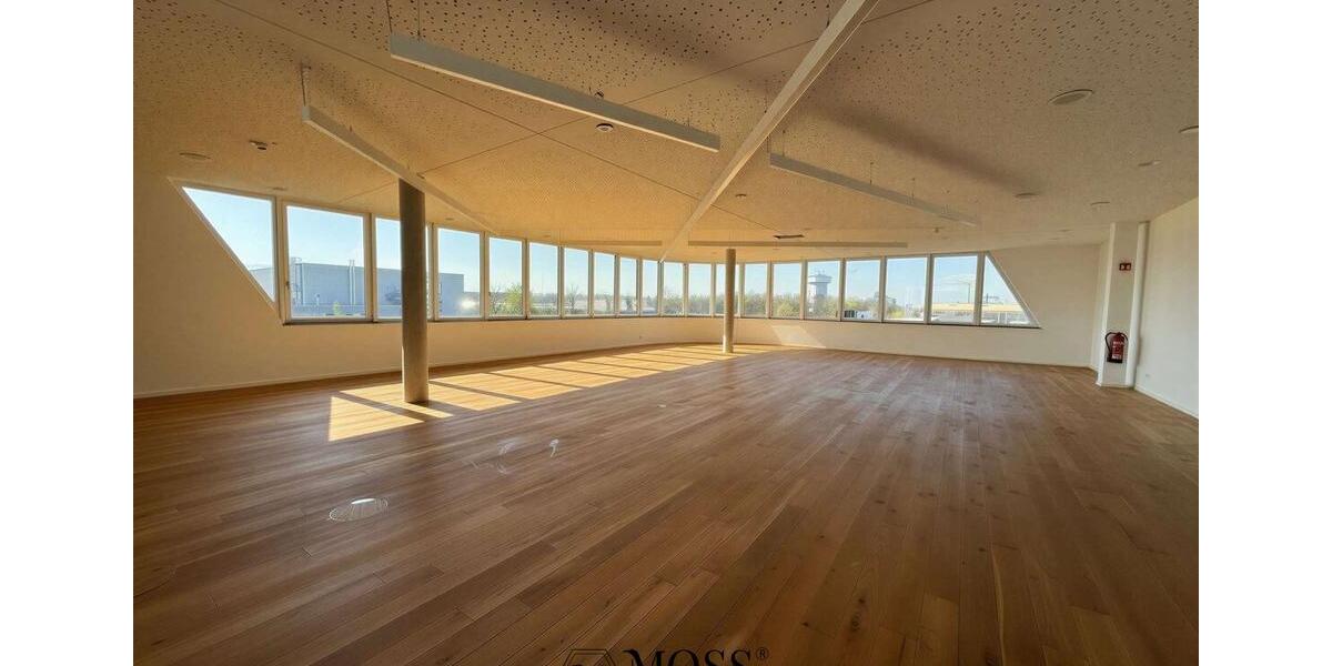 Gewerbeobjekt Bad Krozingen - 3.450&euro; | Angebot:26532990