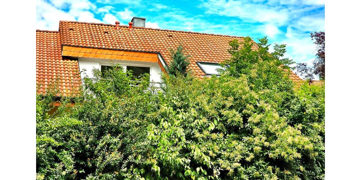 Dachgeschoßwohnung Erfurt Andreasvorstadt - 2 Zimmer, 65 m&sup2;, 1.200&euro; | Angebot:26339576