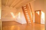 BESICHTIGUNG AM 24.07.25 | 1 Zimmer auf 31,75qm | Dachterrasse | meroplan Immobilien GmbH