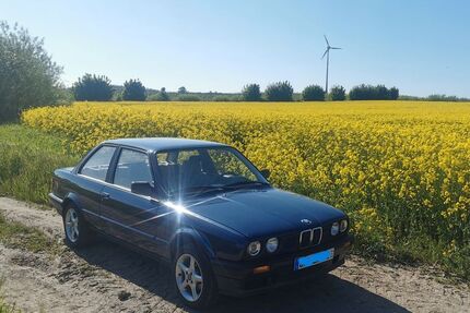 BMW 316 195.700 km 6.600 &euro; Oldenburg i. H. 23758