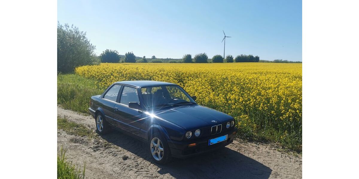 BMW 316 195.700 km 6.600 &euro; Oldenburg i. H. 23758