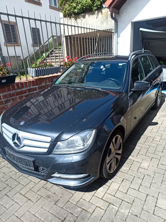 C 250