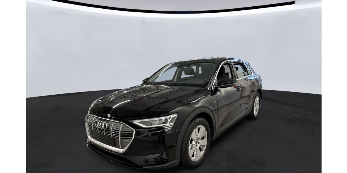 Audi e-tron 29.529 km 26.420 &euro; Hagen 58091