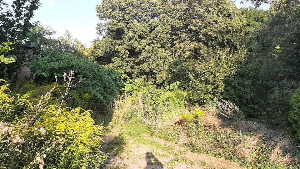 Mehrfamilienhaus, Wohnhaus Bad Lauchstädt - 89.000&euro; | Angebot:27155305