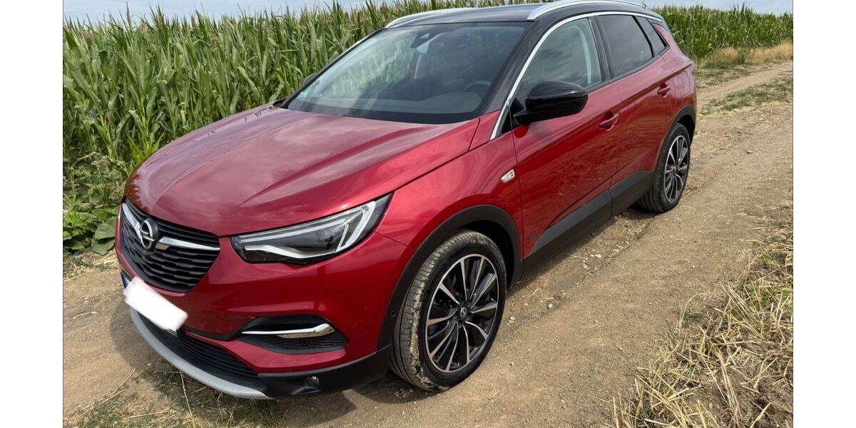 Opel Grandland (X) 65.500 km 18.200 &euro; Kerben 56295