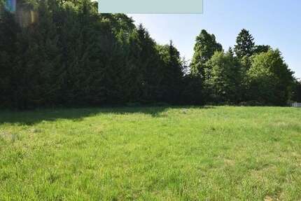 Grundstück Clausthal-Zellerfeld Zellerfeld - 35.000&euro; | Angebot:26749378