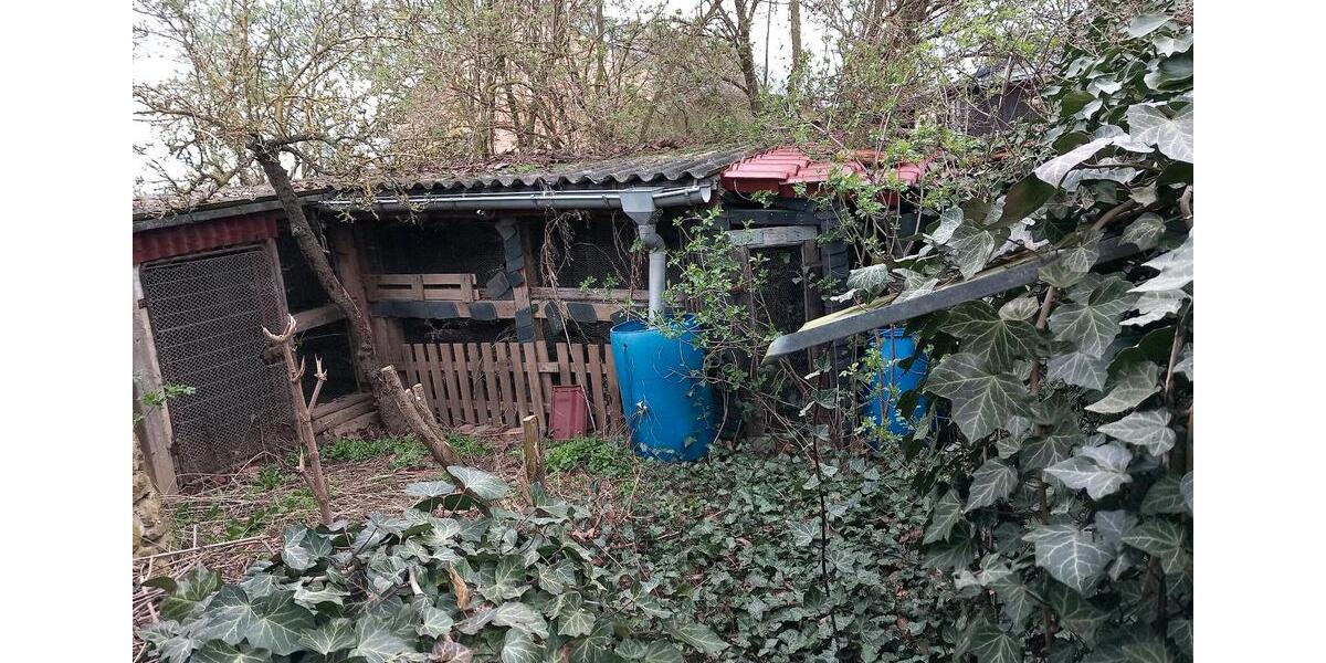 Einfamilienhaus Sondershausen - 3 Zimmer, 80 m&sup2;, 35.000&euro; | Angebot:18962363