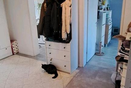 3-Zimmer Wohnung 3 zimmer