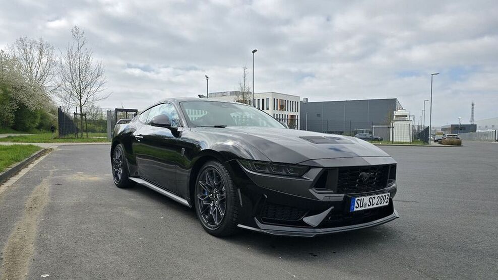 Mustang
