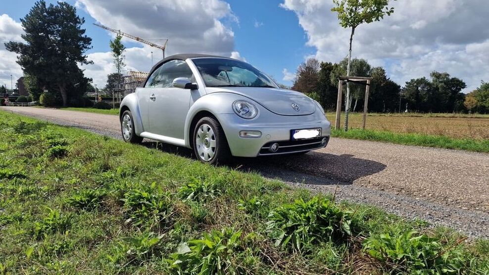Beetle