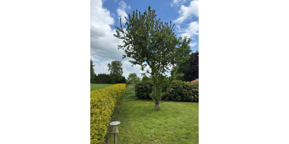 Mehrfamilienhaus, Wohnhaus Wiesmoor - 335.000&euro; | Angebot:26842378