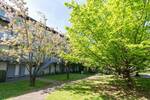 AB SOFORT BEZUGSFREI! Möbliertes Appartment mit Tageslichtbad & Stellplatz frisch renoviert