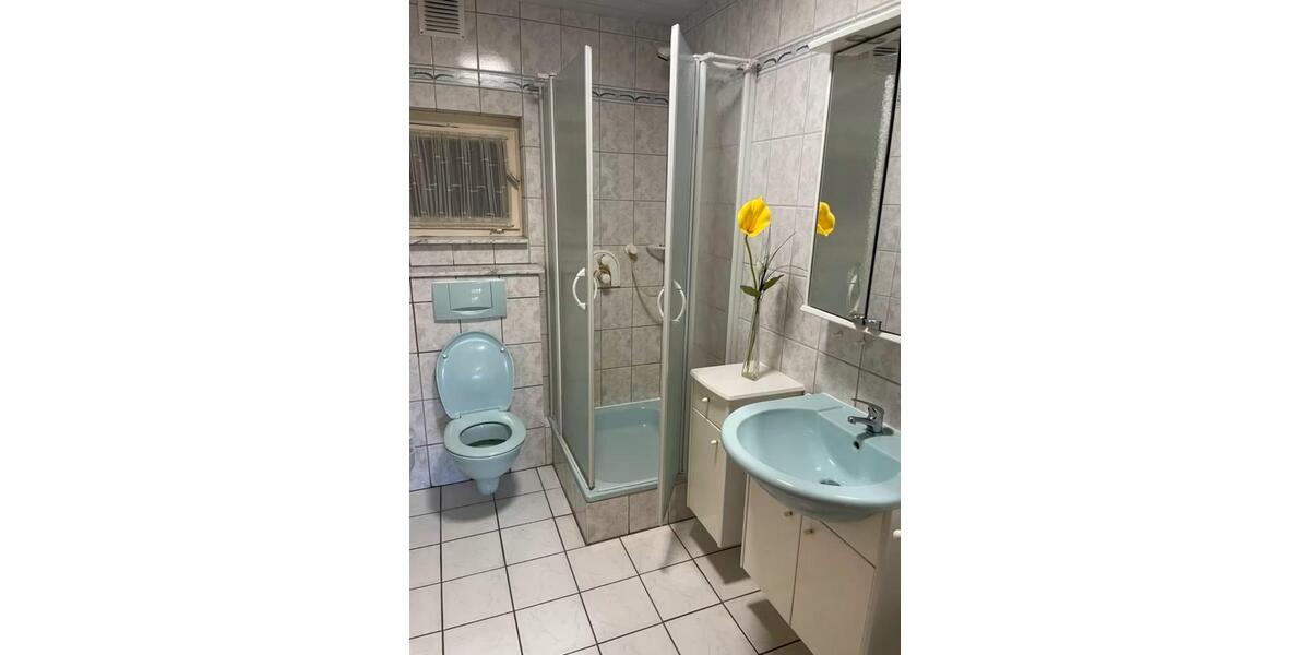 Einfamilienhaus Grebenstein - 6 Zimmer, 240 m&sup2;, 1.500&euro; | Angebot:24693195