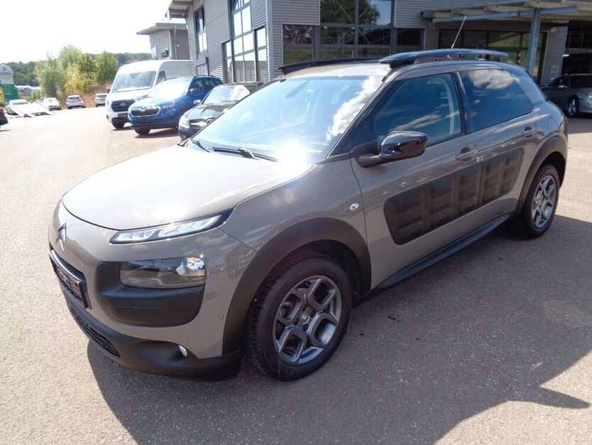 C4 Cactus