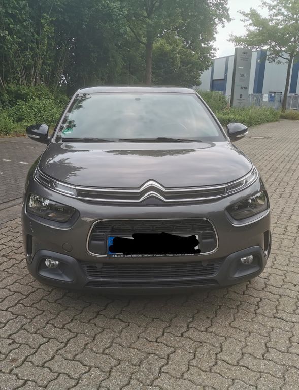 C4 Cactus